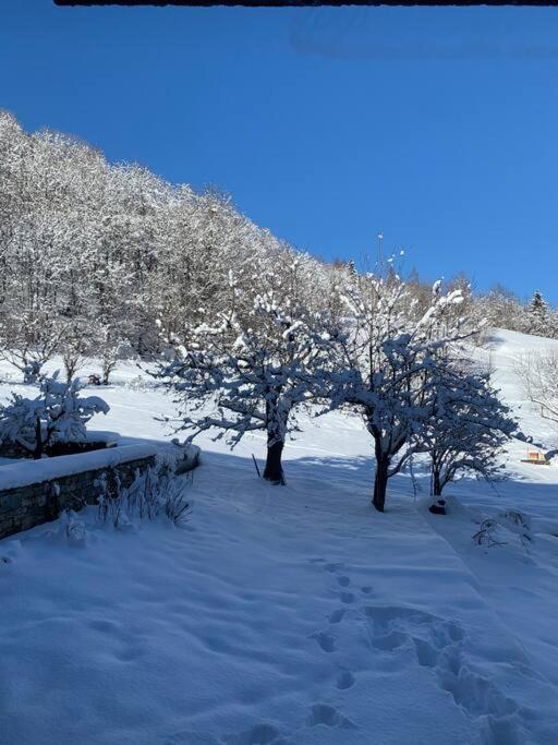 Meribel Chalet De Severine Les Allues ภายนอก รูปภาพ